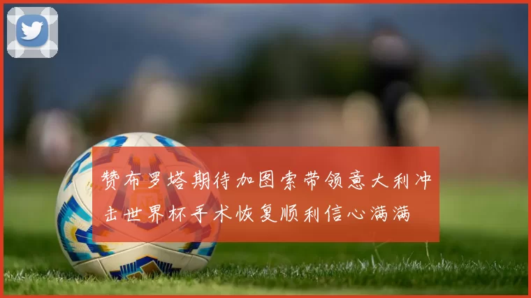 赞布罗塔期待加图索带领意大利冲击世界杯手术恢复顺利信心满满